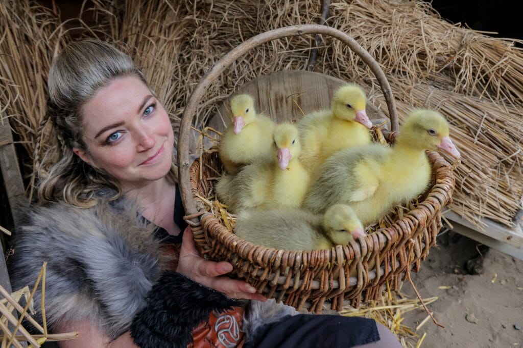 Gosling Around! Kynren Hatches a Surprise Arrival Easter