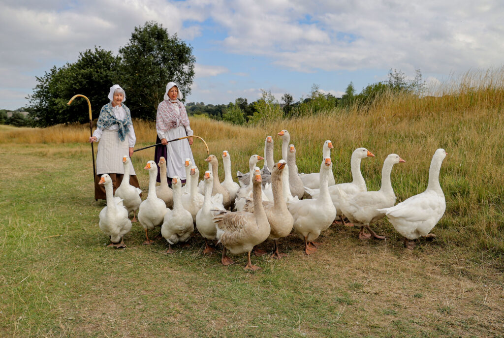 Kynren's geese are part of a cast of more than 150 animals at the Bishop Auckland outdoor show.