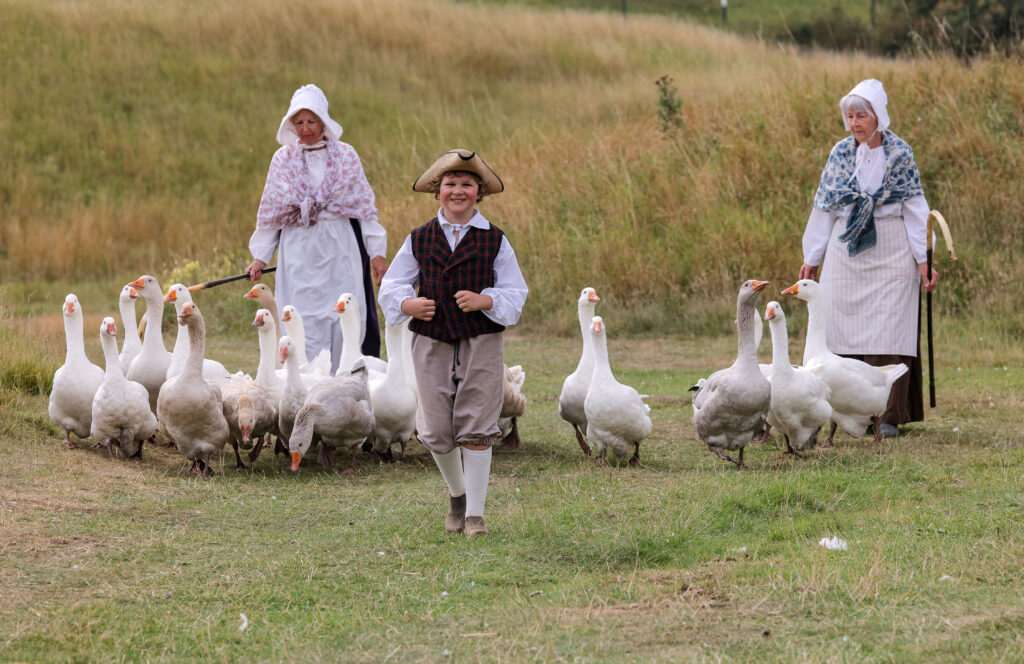 Lukas learns to heard the geese by the volunteer Animal Team at Kynren - An Epic Tale of England, who train and perform alongside the animals each Saturday through summer.