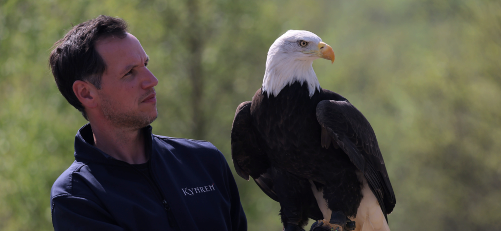 a man looks at a bald eagle that is perched on his arm