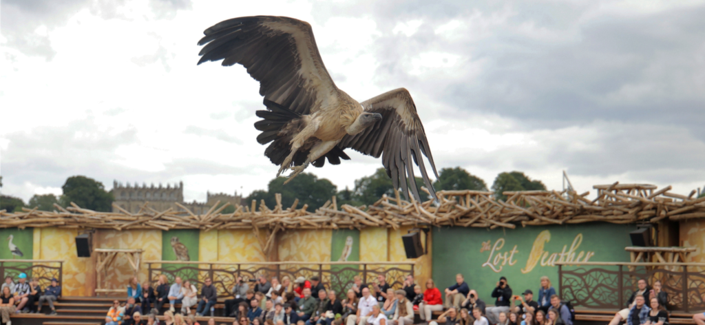 a vulture soars above a nest-inspired arena, with a crowd in the foreground and palace int he background
